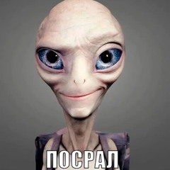 5МИНУТ / @elyagu @presso @shawr