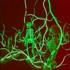 GRAVEWIRE