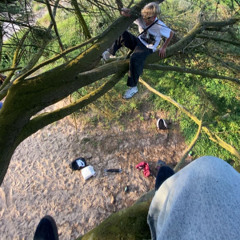 jungle ting