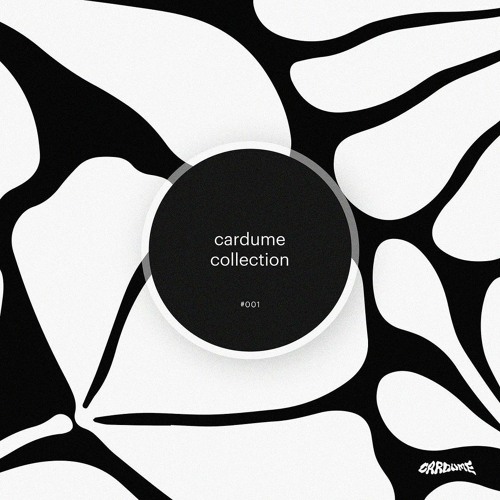 Mau Maioli - Sunday (Cardume Records)
