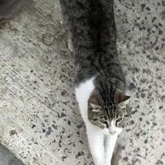 Me retiro (KENAI REMIX ##JERKSUPEREMOCIONANTE)