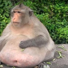 Such A Thing Paul Blanco Cover