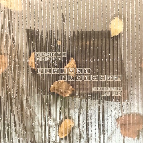 Deviant Protocol w/ Griv.e (19.10.2024)