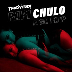 Troyboi - Papi Chulo (NGL Cerdote Flip)