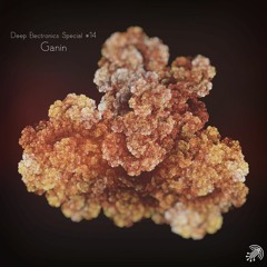 Deep Electronics Special # 14 - Ganin