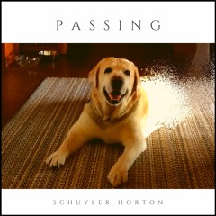 Passing  (In memory of my dog Teddy)