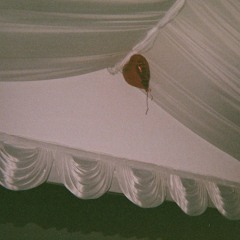 Sugar World - Red Heart On Fire