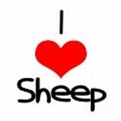 Ride On The Sheep