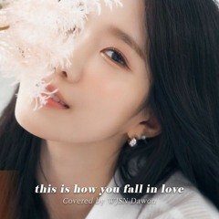 DAWON (WJSN) - This is how you fall in love