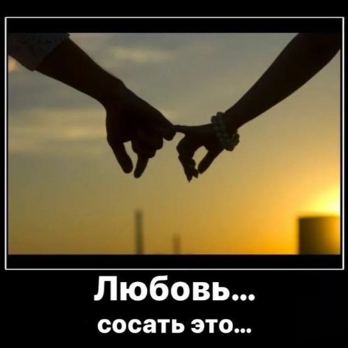 дружно сосут 