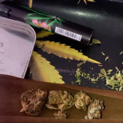 Pensando Vol. 2 \ vyii312 - vv$ - ogluvv - yngFavela