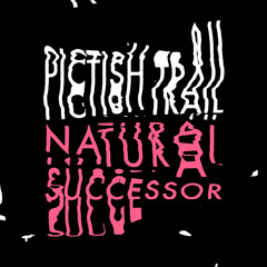 Natural Successor
