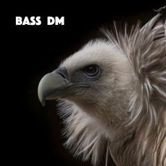 Bass Dm