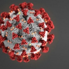 Coronavirus a Second Look Part 2: Crushing and Silencing Doctors of Conscience