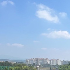 여름이닿지않는곳