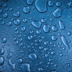 Lovely Shining Things