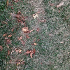 Badda Boo - Искренности (Malinoviy John bootleg)