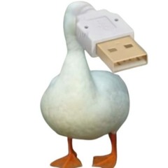 duck device