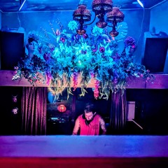 Live @ Luscious [01/02/2025]