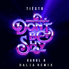 Tiësto & KAROL G - Don’t Be Shy (Dalia Remix)