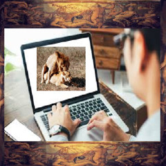 Charlie Sparks - Hollaback Girl - Badass Riddim - JVR