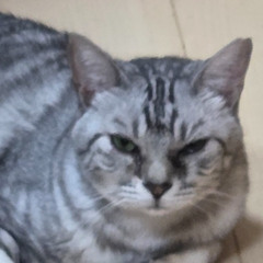 【初音ミク】Lena