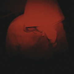 JaunasGrizzlis - NELAIME