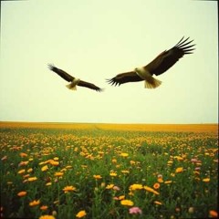 Vultures in Bloom