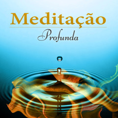 Meditação Transcendental