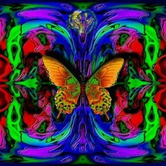 Chasing Butterflies