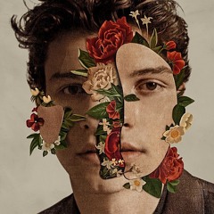 Shawn Mendes- Lost In Japan (Remix By S.of)