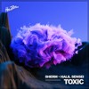 Descargar video: Sherm - Toxic Promo Mix