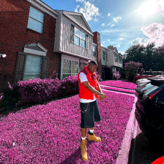 King of The Hill