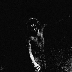 Further Down the Nest I