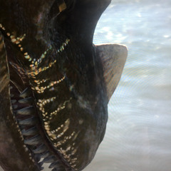 Dinosaurs (in Juno’s mind)