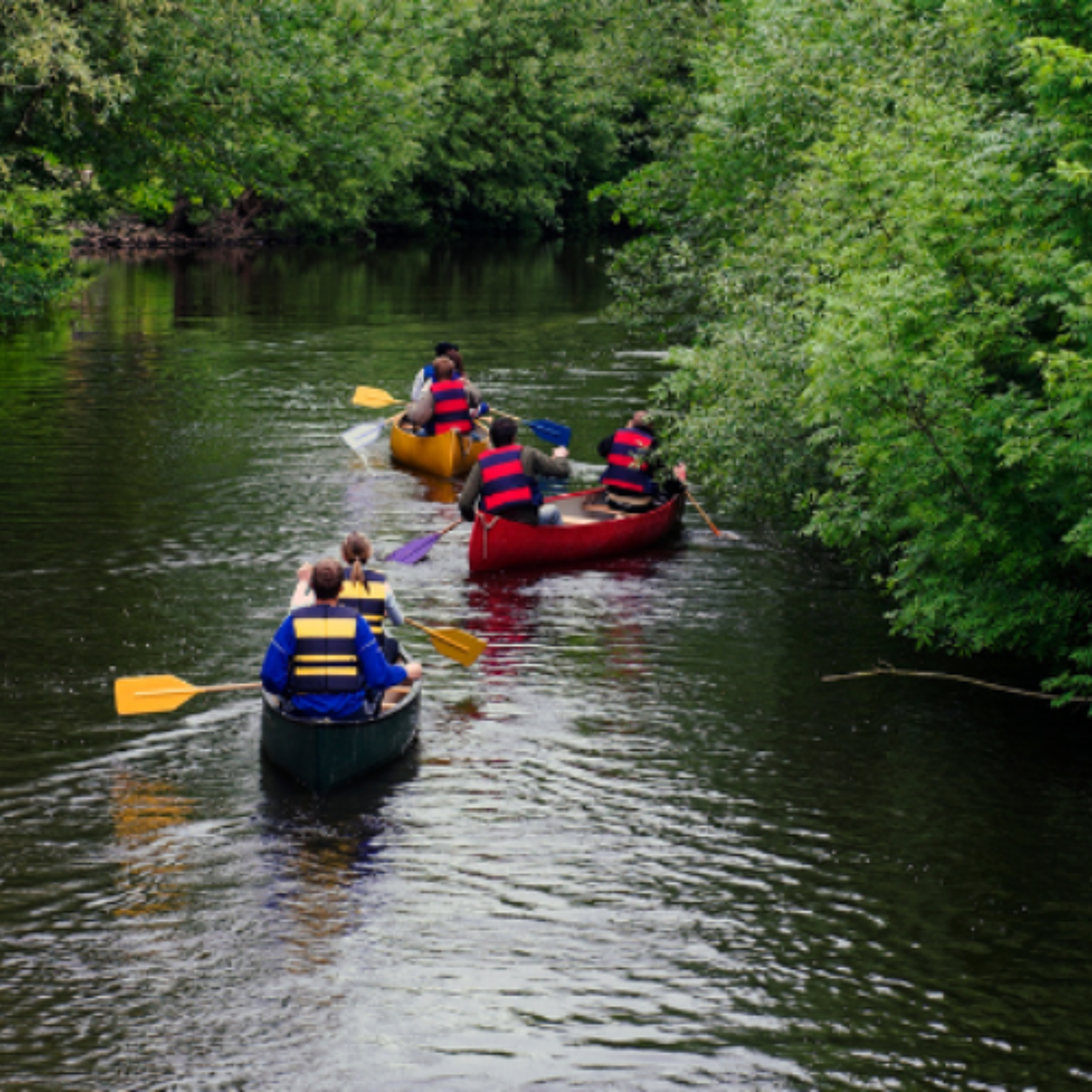 Paddling The River Shannon In Aid Of Parkinson’s Ireland