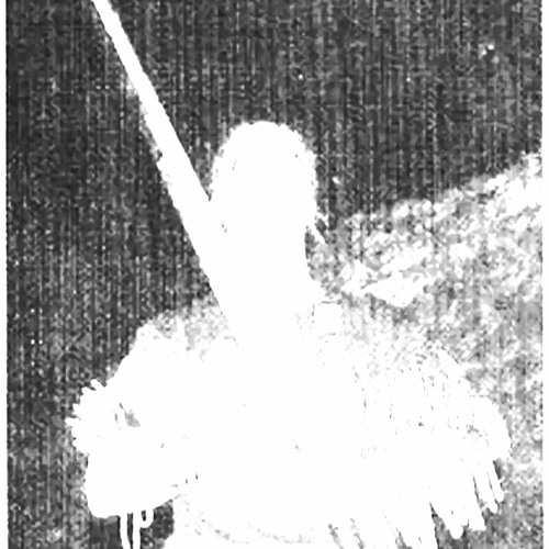 bm19