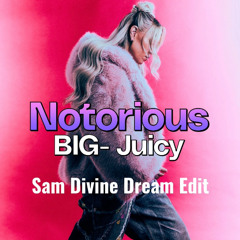 Notorious BIG - Juicy (Sam Divine Dream Edit)