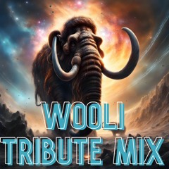 Wooli Tribute Mix