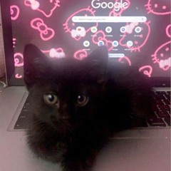 Untitled w/ veilmary (prod. hateoryx)