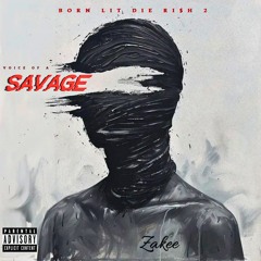 ZAKEE ALI - World On My Back