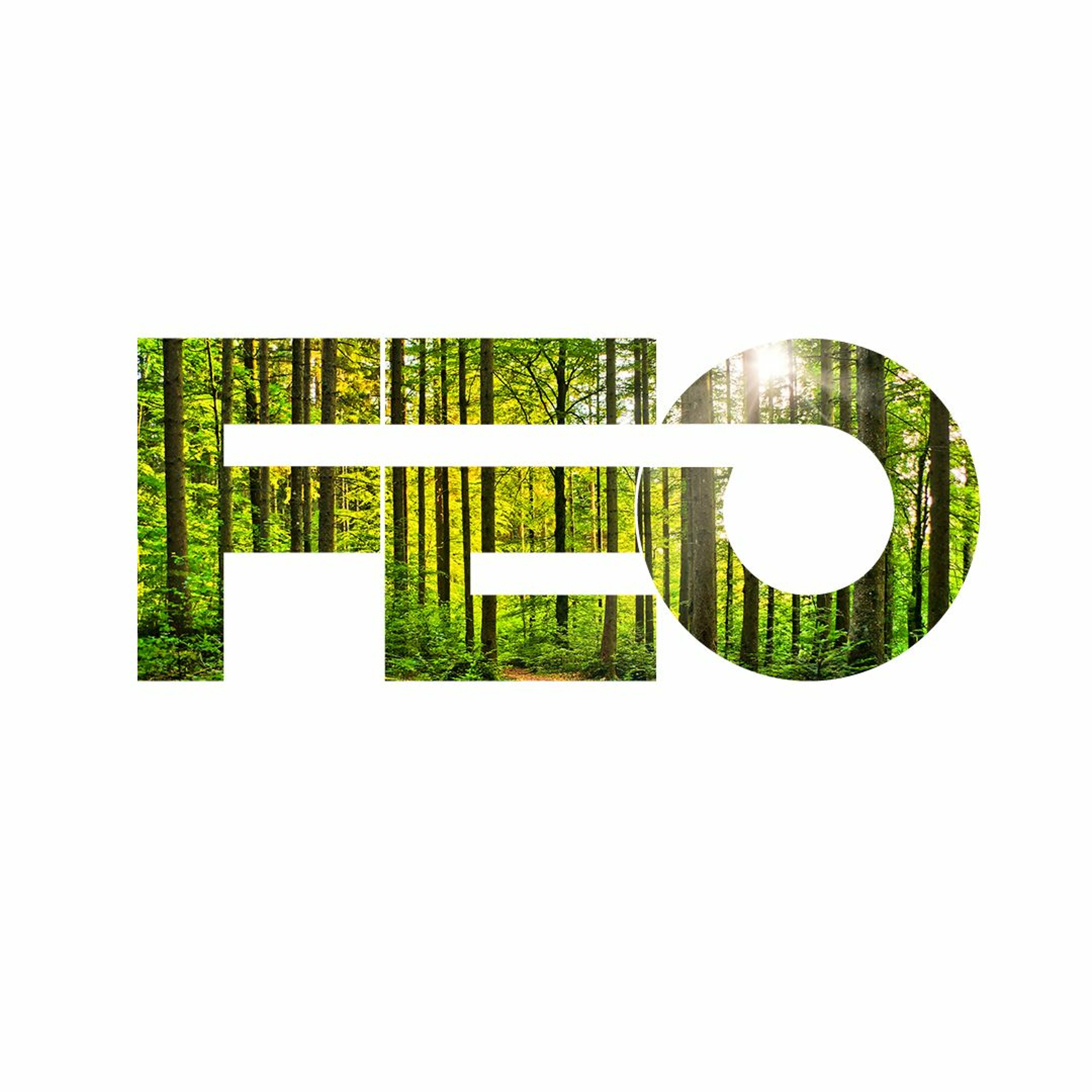 fe0