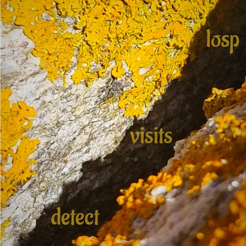 detect