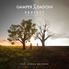 Perfect (For Somebody Else) (feat. Dewain Whitmore)