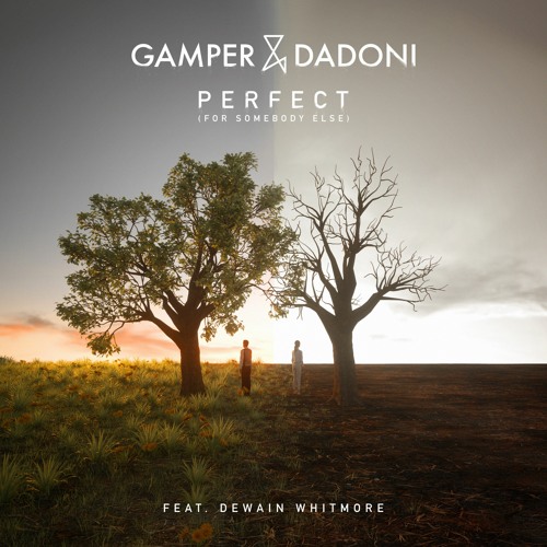 Perfect (For Somebody Else) (feat. Dewain Whitmore)