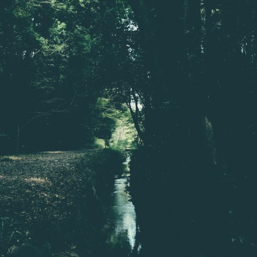 Log_20221021