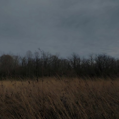 Silence , I'm Sinking. w/ hiræth