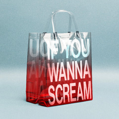 Anja Schneider - If You Wanna Scream