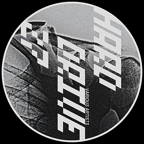 LADIESMAN, IMTERRIFIED - Back Again [DSR Digital]