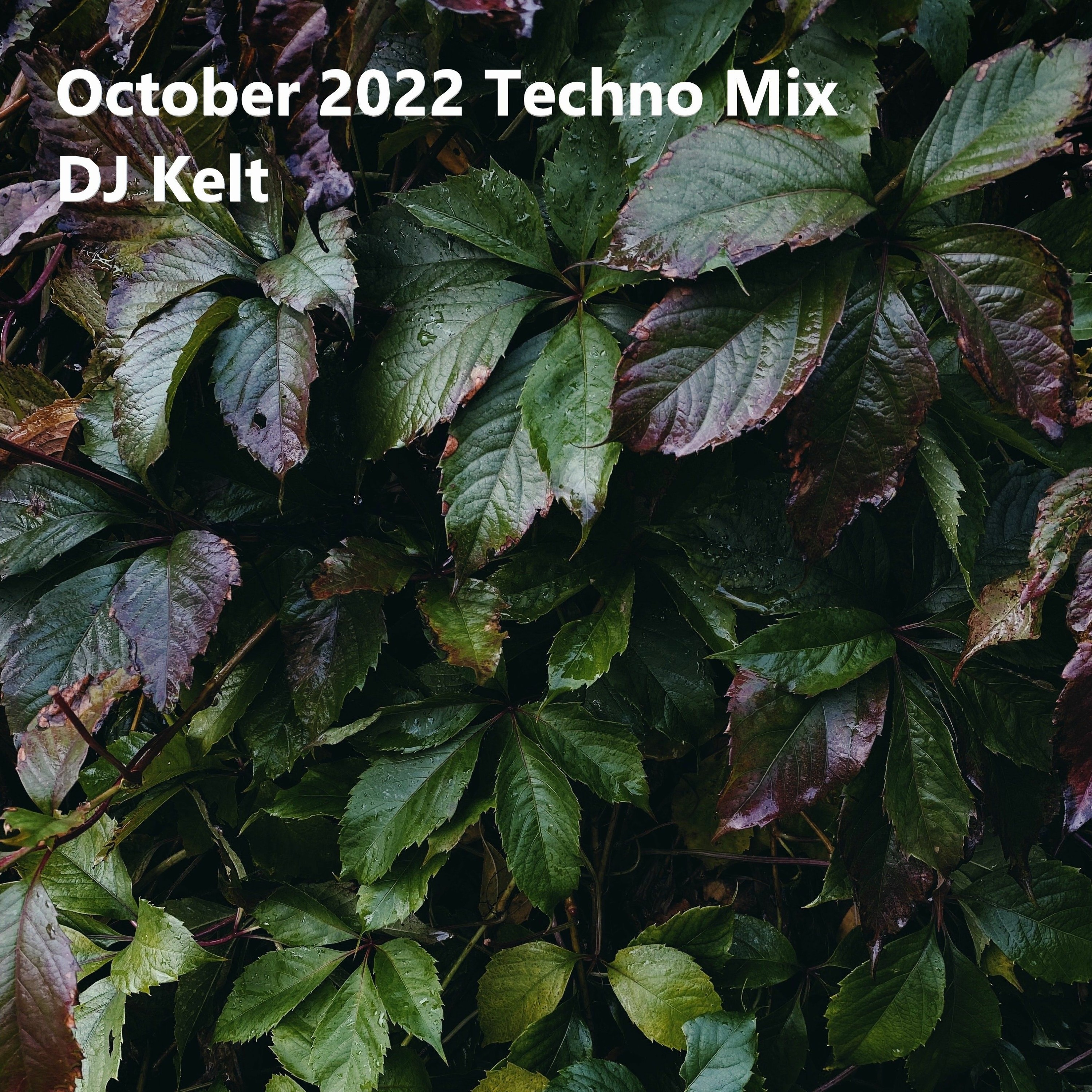 DJ Kelt\'s Podcast: Electronic Lucky Bag - Techno House Melodic Deep Hardgroove